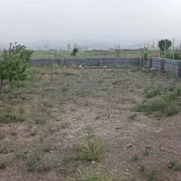 زمین شاندیز