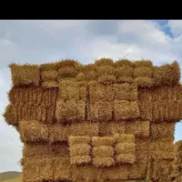 پرس کاه گندم