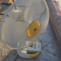 فروش توافقی|فرش|بروجرد, |دیوار