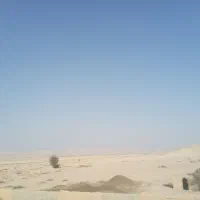 کودخیوانی تمیز