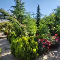رهن و اجاره ویلای لوکس دماوند