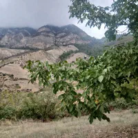 فروش زمین روستای سرسبز قورچای رامیان|فروش زمین و ملک کلنگی|رامیان, |دیوار
