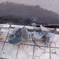 فن پنل و فن کندانسور