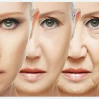 درآمد در خانه، محل کار یا سفر داشته باشید