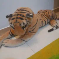 عروسک و فرش اتاق کودک سالم|اسباب و اثاث بچه|رشت, استادسرا|دیوار