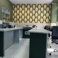 خدماتی خانم و آقا