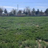 زمین-صنعتی-سند-تک-برگ
