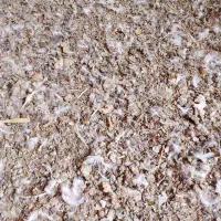 لباس طرح کفتر