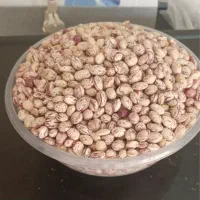 لوبیا چیتی خمین و ابلق درشت درجه یک|خوردنی و آشامیدنی|تهران, جوادیه|دیوار