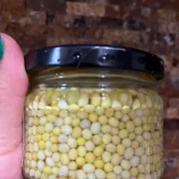 فروش حلزون البینو و آچاتینا|خزنده|قزوین, |دیوار