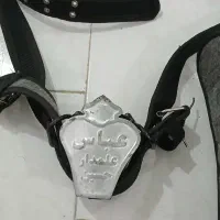 هیکلی علم کشی|کیف، کفش، کمربند|بندر انزلی, نیمه شعبان|دیوار