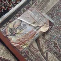 فرش ۹ متری و پشتی کاملا سالم|فرش|قروه, |دیوار