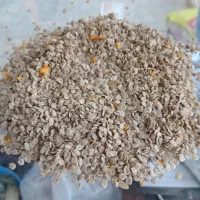 بذر گوجه|خدمات باغبانی و درختکاری|حمیدیه, |دیوار