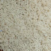فروش برنج شمال/قیمت/مقایسه با خودتون