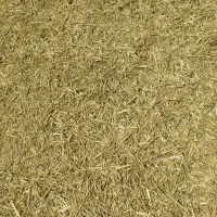یونجه اول چین