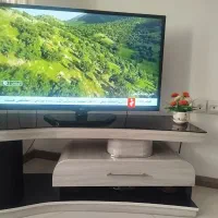 تلوزیون الجی درحدنو