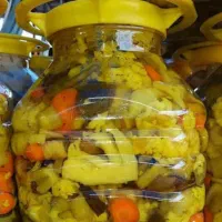 خیارشور ترشی آبغوره ناردونه مویز انجیر|خوردنی و آشامیدنی|نورآباد ممسنی, |دیوار