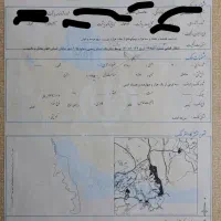 باغ مثمر با سند تک برگ با درختان میوه