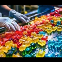 کارگر ساده بسته بندی پاستیل جای خواب خوب/۳وعده غذا