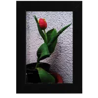 قاب عکس های مینی‌ مال زیبا در طرح های متنوع