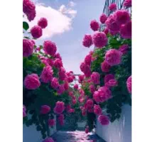 زمین سرابله