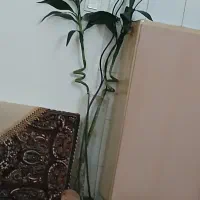 دو شاخه گل مصنوعی بسیار زیبا