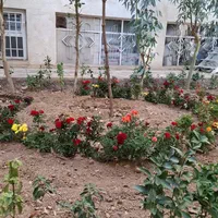 خدمات باغبانی گل کاری درتمام نقاط تهران|خدمات باغبانی و درختکاری|تهران, بهاران|دیوار