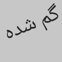 کیف مدارک گم شده