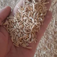 جودیم.قره آرپا