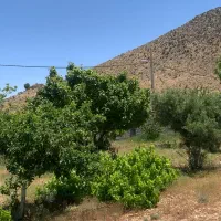 باغشهری ملوسجان مجتمع نیرو