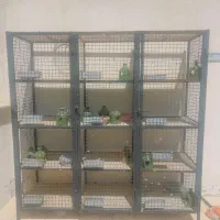 جفت کن