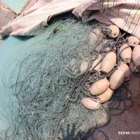 تور مخصوص سفره ماهی( لیح پووی)|ماهیگیری|هرمز, |دیوار