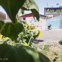 نیروی ماهر و نیمه ماهر کارواش|استخدام حمل و نقل|قم, شهرک مهدیه (مدرس)|دیوار