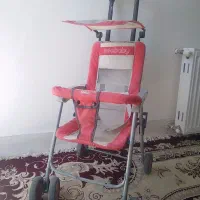 کالسکه تمیزودرحدنو