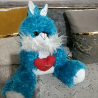 یک عددخرگوش آبی زیبادرحدنو