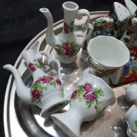 ظروف پذیرایی گلسرخ