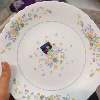 آرکوپال ویکتوریای فرانسه اصل|ظروف سرو و پذیرایی|قزوین, |دیوار