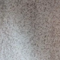 برنج دم سیاه درجه یک