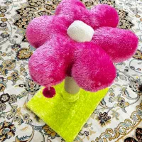 اسکرچر گربه