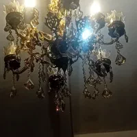 لوستربرنجی ۱۲شاخه