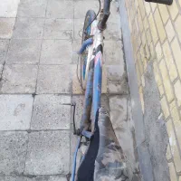 دوچرخه 24 البرز آدرس شبیشه|دوچرخه، اسکیت، اسکوتر|باوی, |دیوار