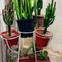 جا گلدونی فلزی