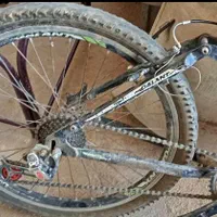 دوچرخه|دوچرخه، اسکیت، اسکوتر|خانمیرزا, |دیوار