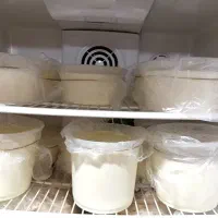 شیر و ماست لورک محلی تازه شبانکاره