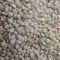 حبوبات باقیمت مناسب  خرید وفروش