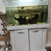 آکواریوم همراه با ماهی