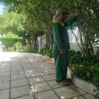 خدمات باغبانی حرس وآبیاری سم پاشی و گل کاری و ...