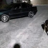 پژو پارس مدل80