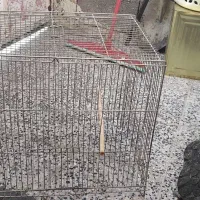 قفس درحدنو مناسب برای تمامی پرنده ها قیمت۲۴۰