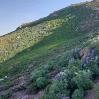 نیازمند یک مدرک مهندسی برق یا مکانیک جهت رتبه بندی